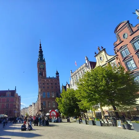 Violin Old Town Gdansk
