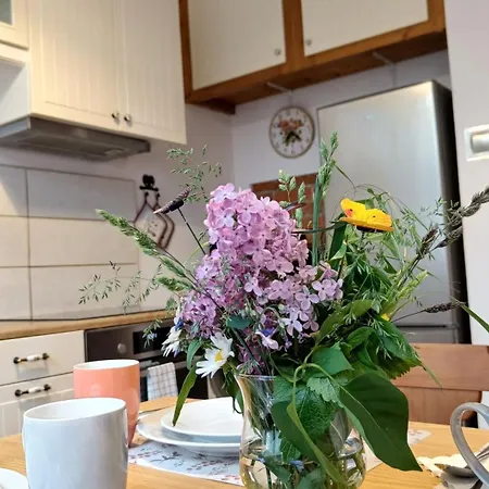 Apartamento Violin Old Town *