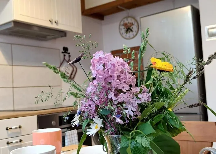 Lägenhet Violin Old Town *