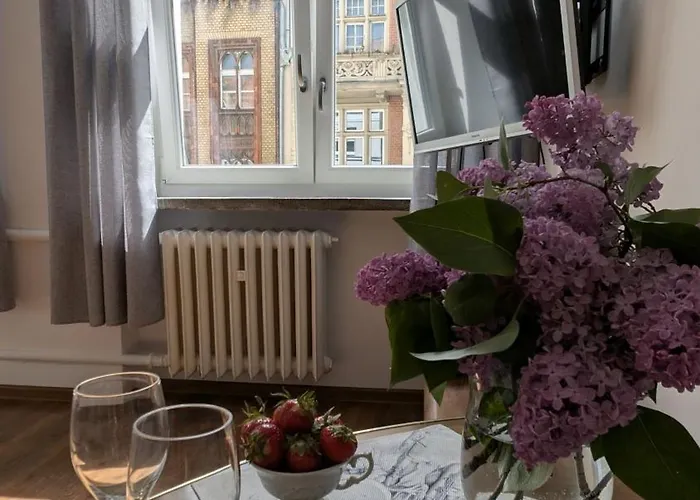 Apartamento Violin Old Town