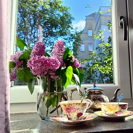 Violin Old Town * Danzica